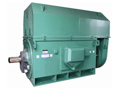 Y7108-6Y系列6KV高压电机